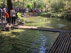 -竹泉村旅游度假区