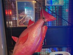 -质烤烤物·活烤海鲜(质烤总店)