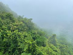 -呀诺达热带雨林