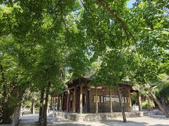 -兴教寺