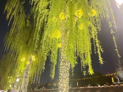 -COMMUNE幻师(天品西岸店)