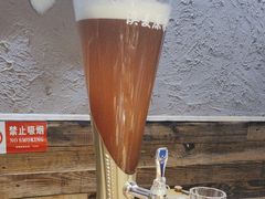 -柿子树炭烤羊腿(金台路店)