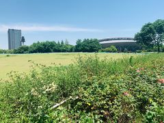 -杭州城北体育公园