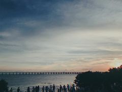 -宝安西湾红树林湿地公园