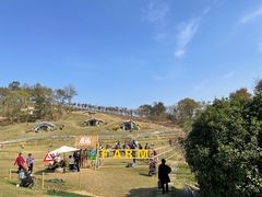 -大塘金香草谷