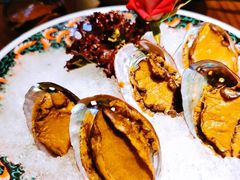 手工冰镇鲍鱼-木棉·醉心粤味(COCO Park店)