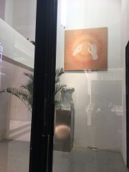 -FAB HAIR CLUB