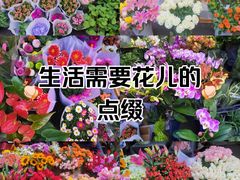 -循礼门鲜花花市(武汉循礼门店)