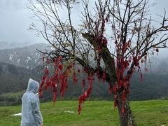 -硗碛藏寨·神木垒景区