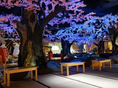 -蓝鲸湾汤泉(包河店)