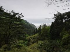 -南岳衡山风景名胜区