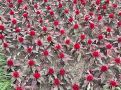 -狼山风景名胜区