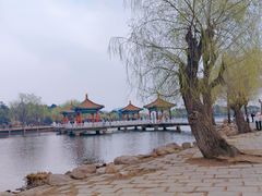 -长春市南湖公园