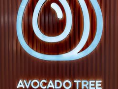 -油梨树 AVOCADO TREE(亮马桥店)