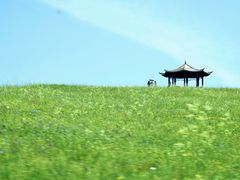 -敕勒川草原