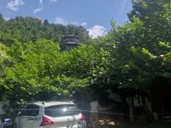 -老张烤羊(王哥庄店)