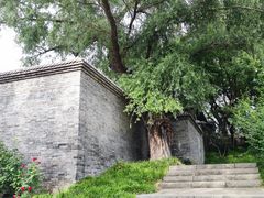 -元大都城垣遗址公园