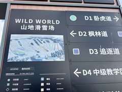 -长白山华美胜地滑雪场