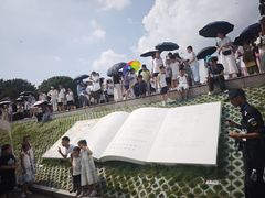 -观潮胜地公园
