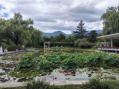 -国家植物园南园