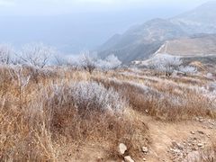 -阳台山自然风景区