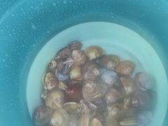 -启东黄金海滩景区