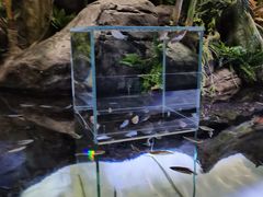 -上海海洋水族馆