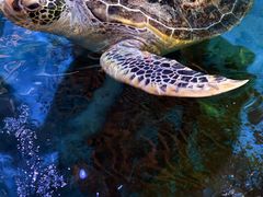 -横店影视城梦幻谷园区