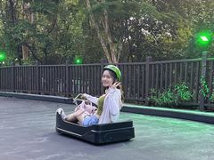 -圣淘沙天际线斜坡滑车