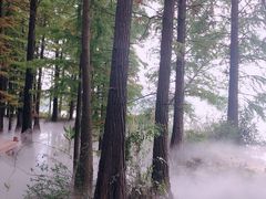 -东湖落雁景区
