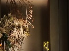 -安屿an·spa(卓悦中心商场店)