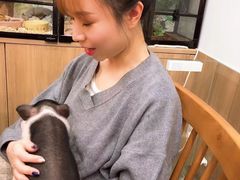 -藦茜花园宠物主题亲子互动体验馆(国顺东路店)