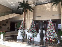 -常州环球恐龙城维景国际大酒店