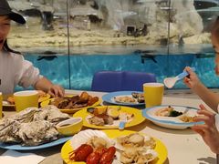 -帝企鹅自助餐厅•儿童岛•真企鹅(长隆企鹅酒店)