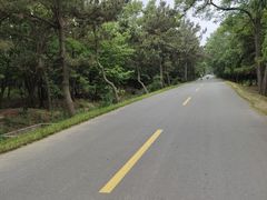 -日照海滨国家森林公园