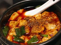 陈麻婆豆腐-陈麻婆豆腐总店
