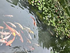 -南京东郊国宾馆