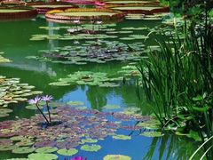 -国家植物园南园