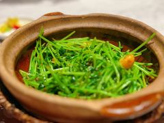 川香焗豆苗-天辣(金桥啦啦宝都店)