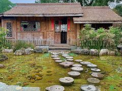 -南山植物园