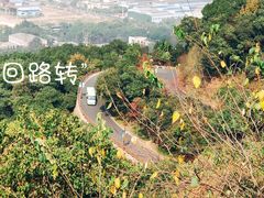 -杭州半山国家森林公园