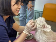 -北京观赏动物医院·24小时大型综合·猫专科·异宠专科