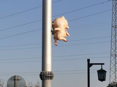-膳博士·府宴餐厅(猪猪星球店)