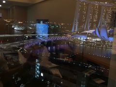 -新加坡文华东方酒店