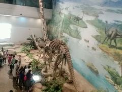 -自贡恐龙博物馆