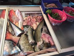 -金砂阿洲鱼册店