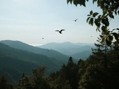 -午潮山国家森林公园