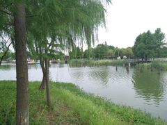 -尚贤河湿地