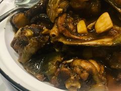 红烧生态甲鱼-西湖春天•老字号杭州菜(百汇店)