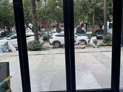 -博特宠物医院24h犬猫全科.骨科·异宠